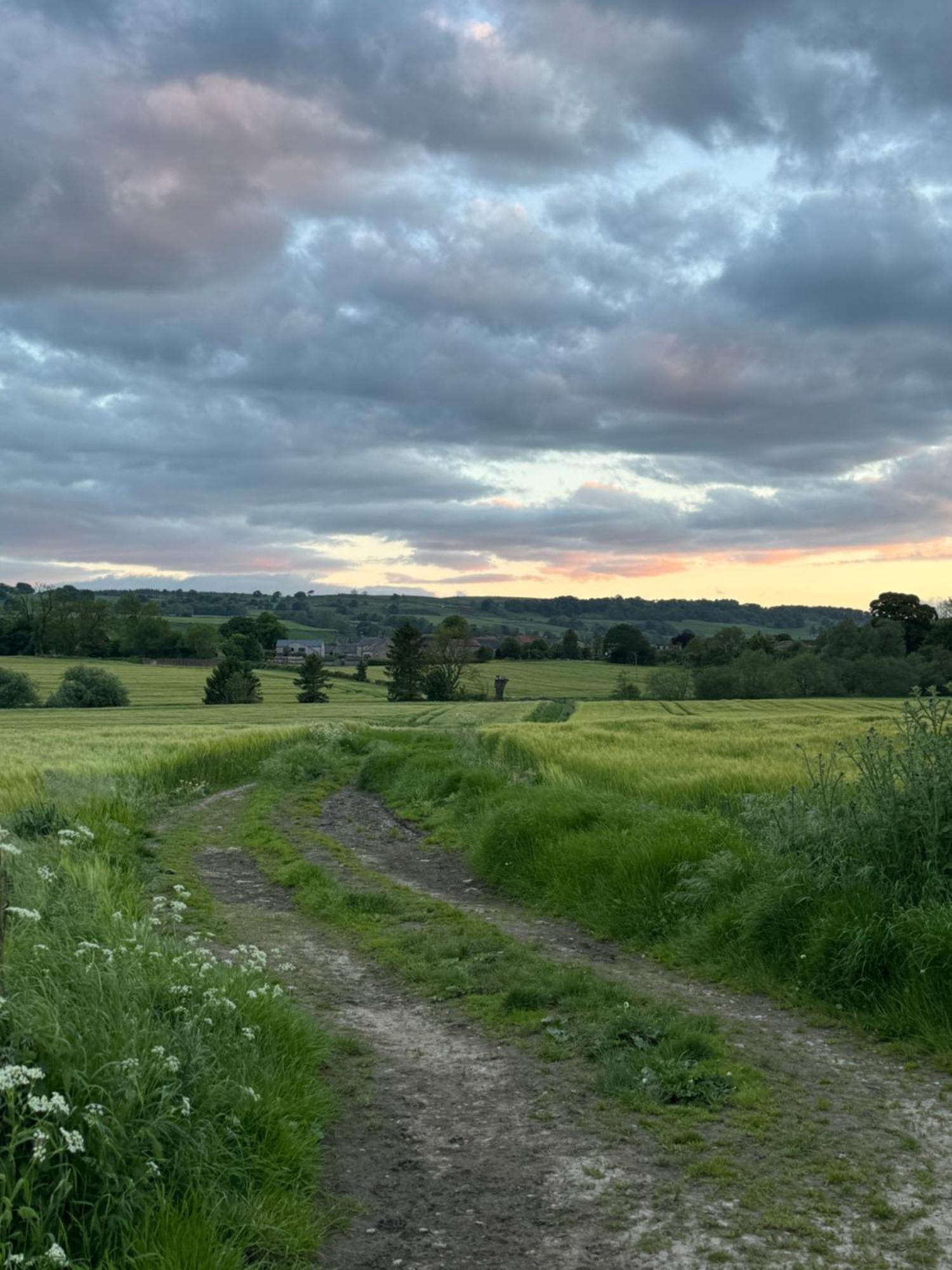 Chestnut Cottage Ravensworth Richmond  Εξωτερικό φωτογραφία
